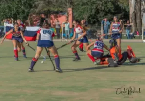 JOCKEY SUB14